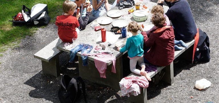 Family picnic