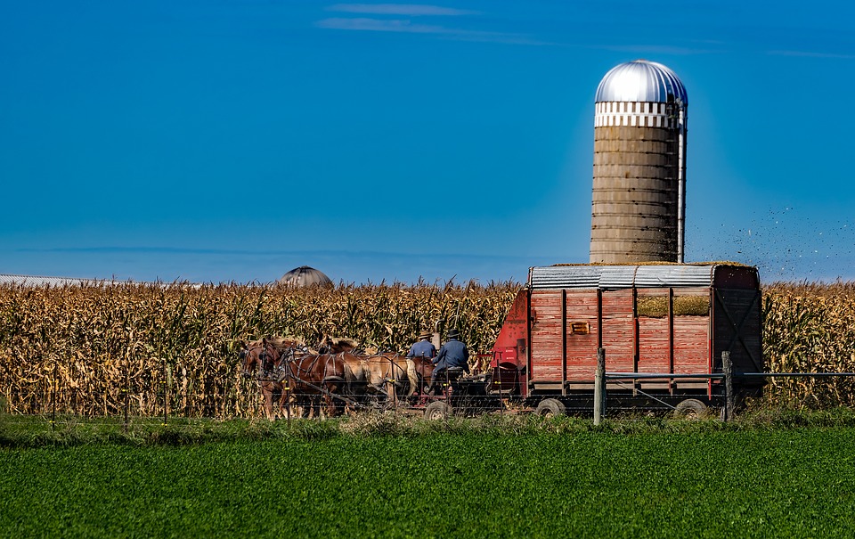 lancaster county